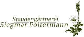 Staudengärtnerei Siegmar Poltermann Inhaber Björn Poltermann Logo