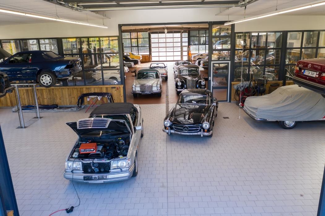 Bilder Rosier Classic Sterne GmbH