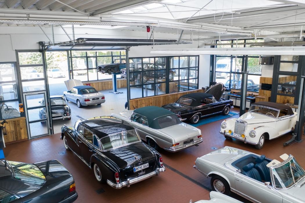 Bilder Rosier Classic Sterne GmbH