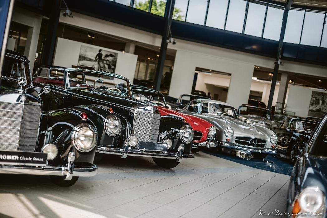 Bilder Rosier Classic Sterne GmbH
