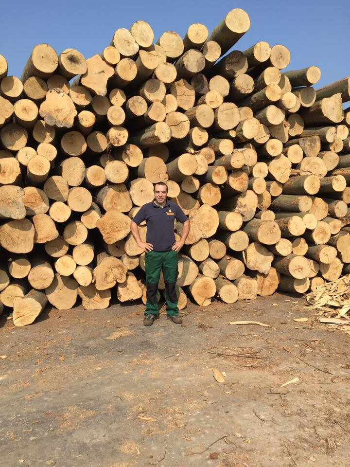 Bilder Brennholz Friedrich