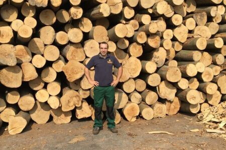 Bilder Brennholz Friedrich