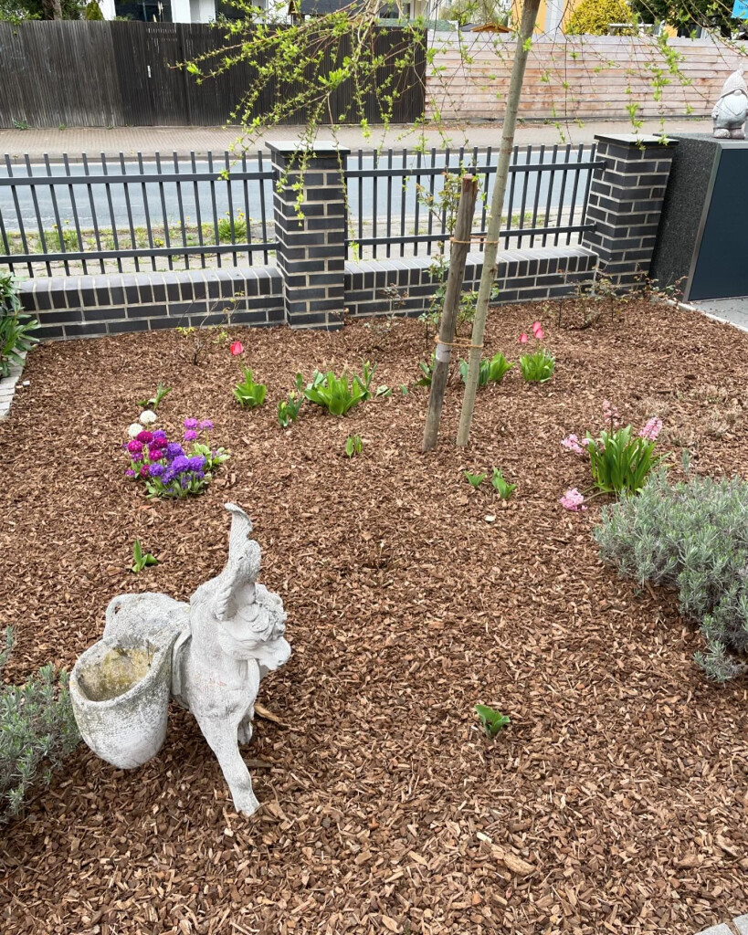 Bilder Brennholz Friedrich