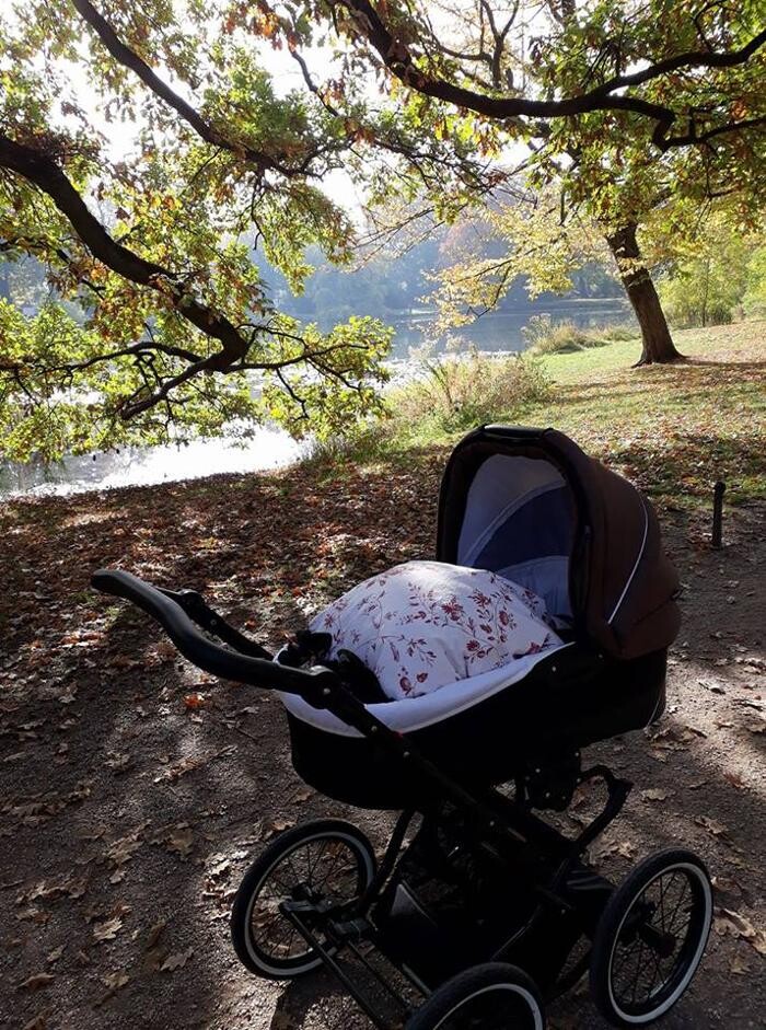 Bilder KinderwagenMaxe