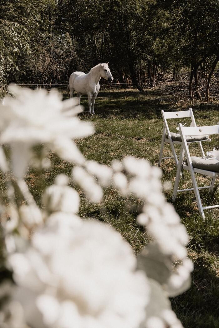 Bilder Katharina Beier Fotografie