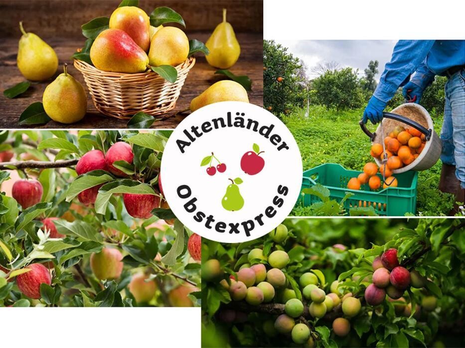 Bilder Altenländer Obstexpress