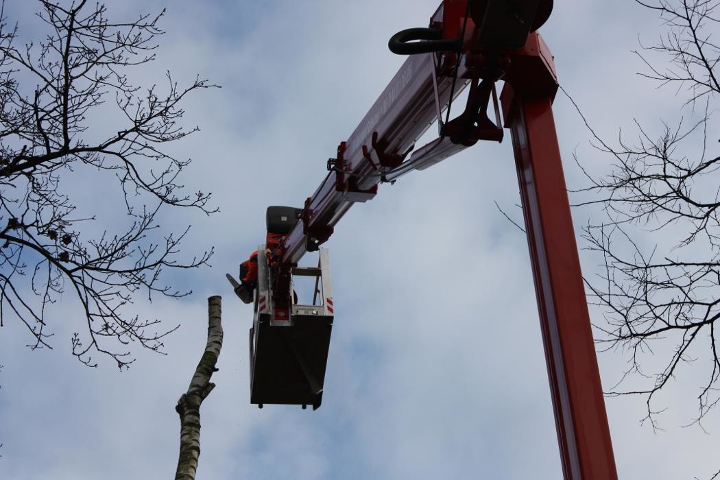 Bilder Photovoltaikanlagen Reinigung Scheumer