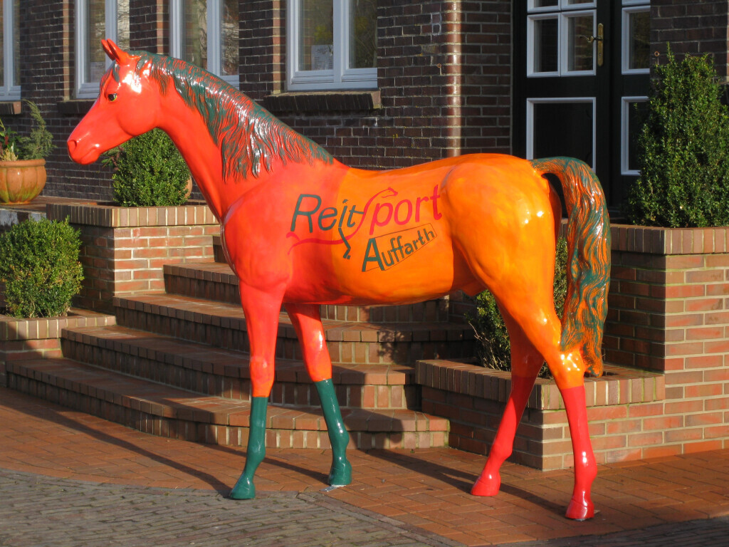 Bilder Reitsport Auffarth