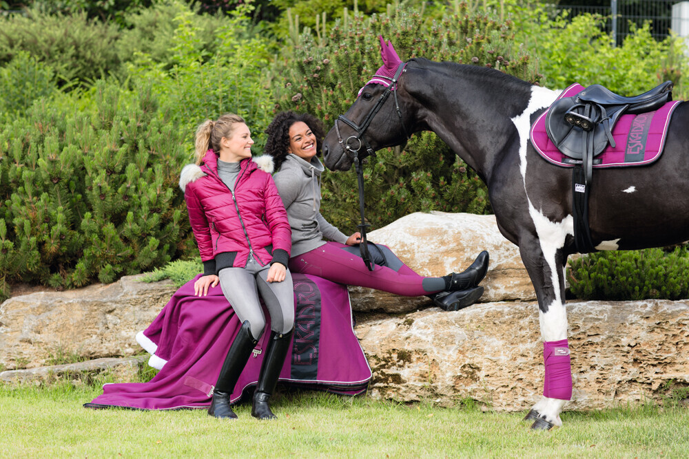 Bilder Reitsport Auffarth