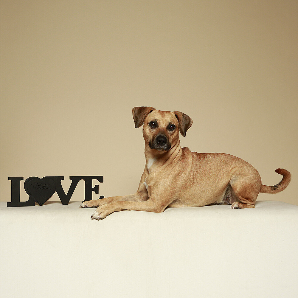 Bilder Second Universe - Kreativbüro und Werbeagentur