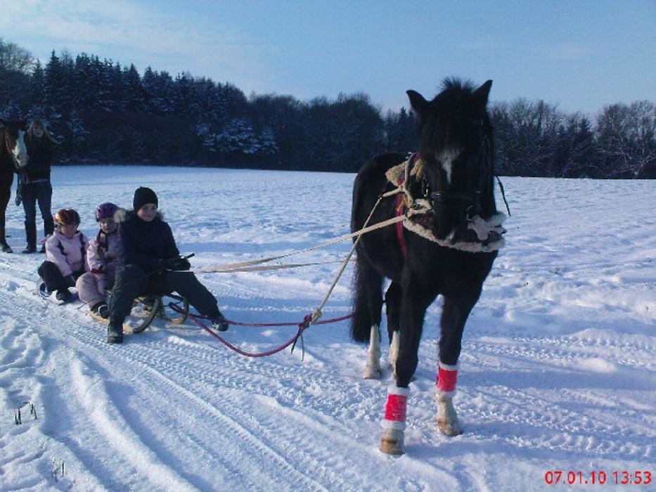 Bilder Reitschule Hess