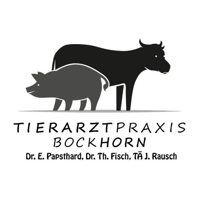 Tierarztpraxis Bockhorn Dr. E. Papsthard, Dr. Th. Fisch, TÄ J. Rausch Logo