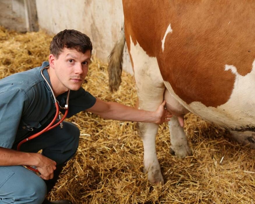 Bilder Tierarztpraxis Bockhorn Dr. E. Papsthard, Dr. Th. Fisch, TÄ J. Rausch