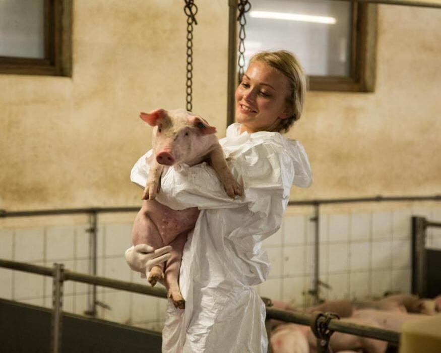 Bilder Tierarztpraxis Bockhorn Dr. E. Papsthard, Dr. Th. Fisch, TÄ J. Rausch