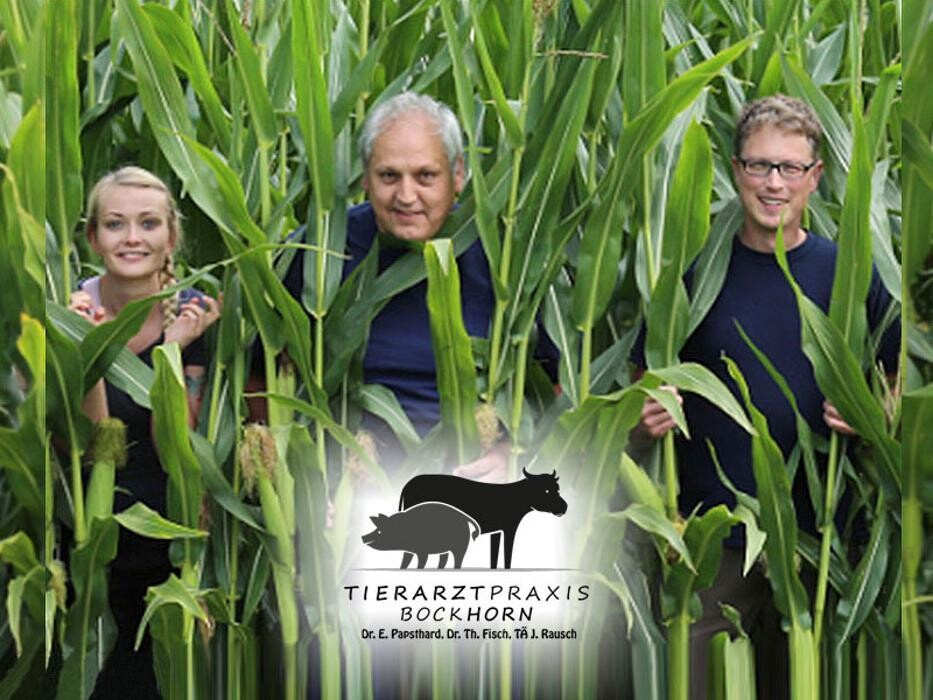 Bilder Tierarztpraxis Bockhorn Dr. E. Papsthard, Dr. Th. Fisch, TÄ J. Rausch