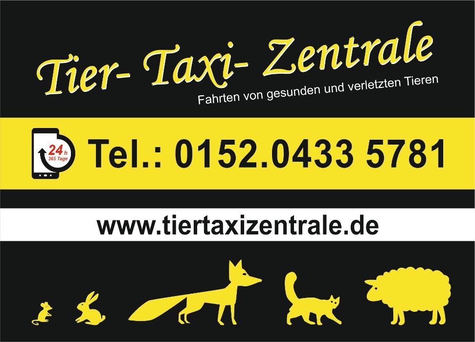 Bilder Tier- Taxi- Zentrale