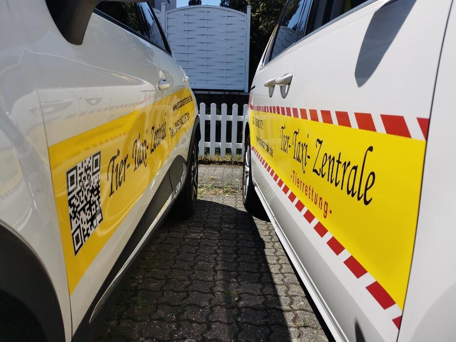 Bilder Tier- Taxi- Zentrale