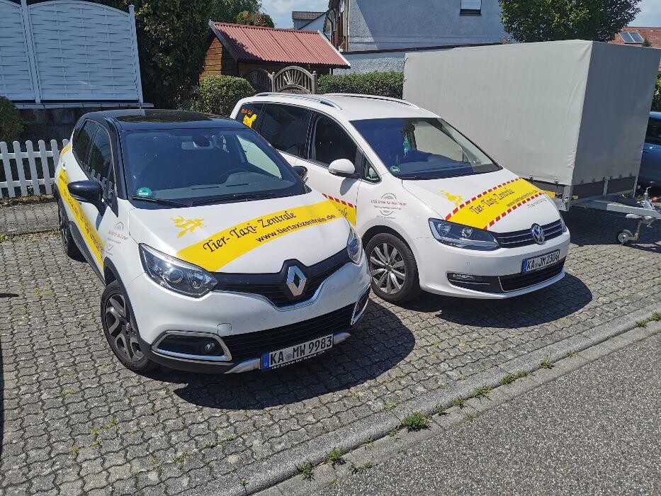 Bilder Tier- Taxi- Zentrale