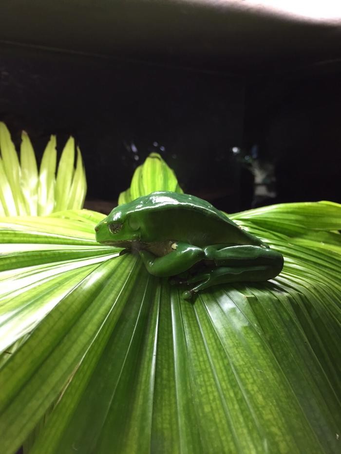 Bilder SAFE-TEC CONSULTING GmbH