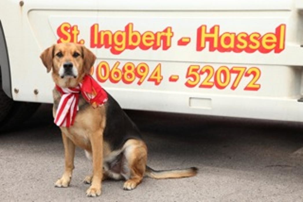 Bilder Oel Schneider GmbH