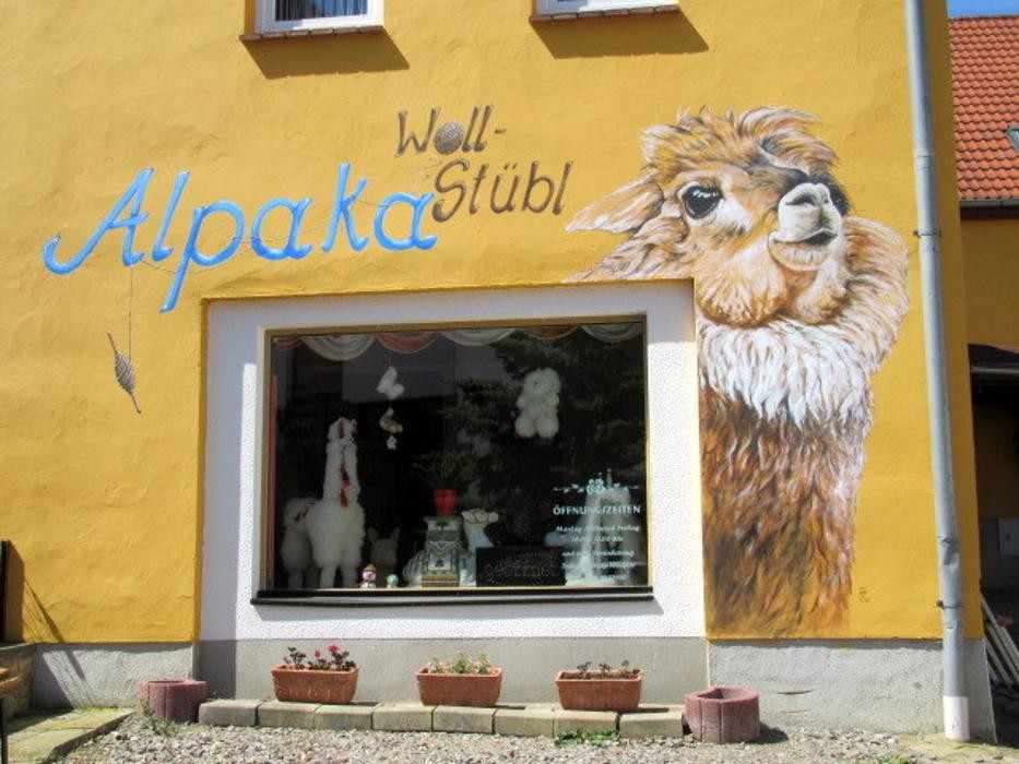 Bilder AWR Alpakas von der Winkler-Ranch