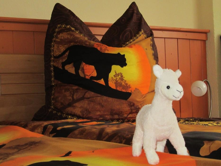 Bilder AWR Alpakas von der Winkler-Ranch