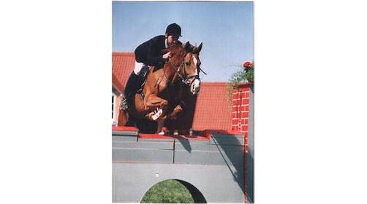 Bilder Tierarztpraxis Kay