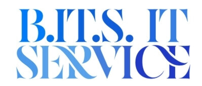 B.IT.S. IT Dienstleistungen UG (haftungsbeschränkt) Logo