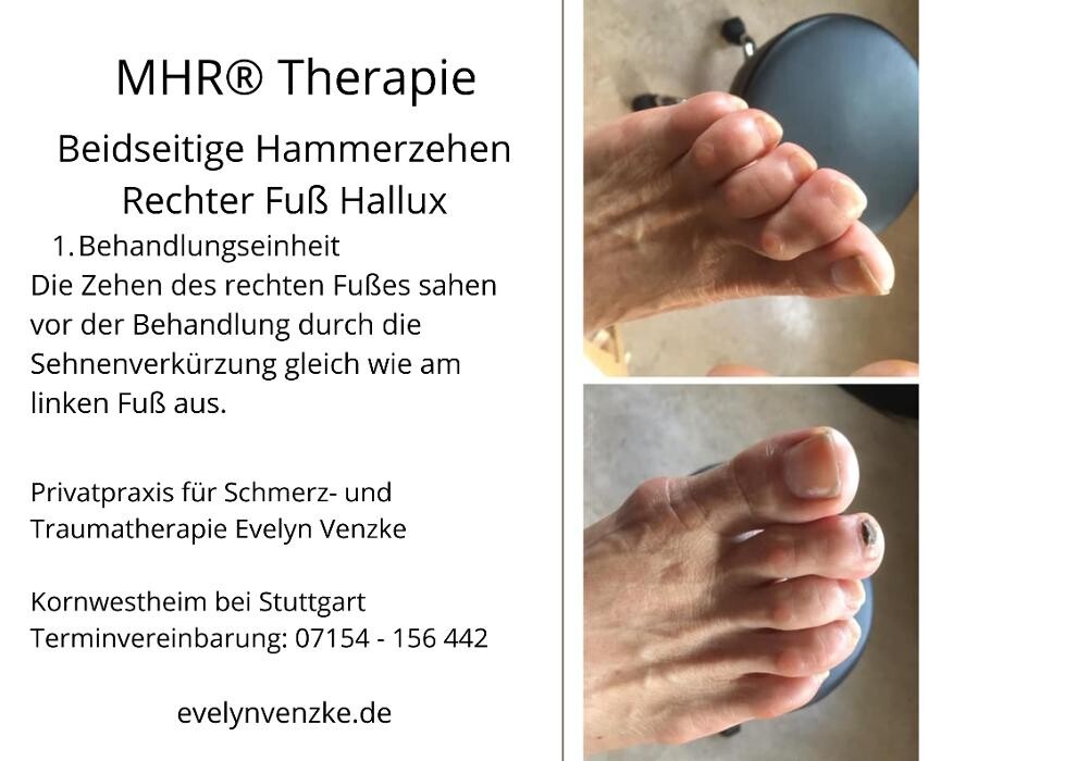 Bilder Evelyn Venzke Gesundheitsakademie & Therapie