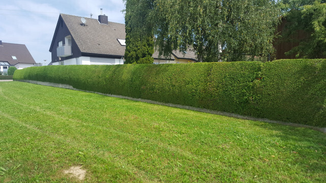 Bilder Römer GmbH