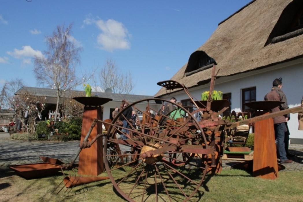 Bilder Blech im Garten