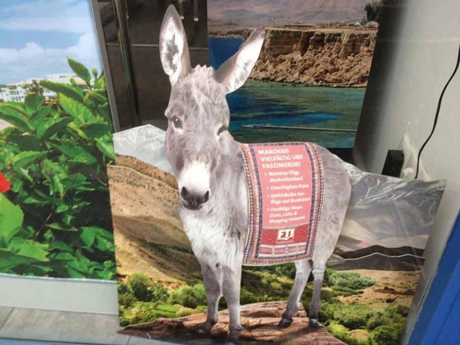 Bilder Reisecenter Nordstadt UG - Reisebüro38.de