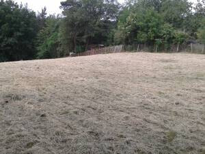 Bilder Allround Dienstleistungen Jörg Jattke