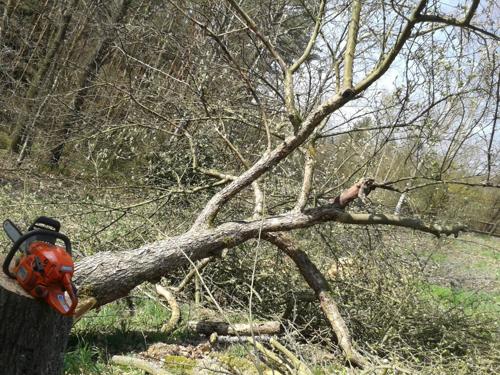Bilder Allround Dienstleistungen Jörg Jattke