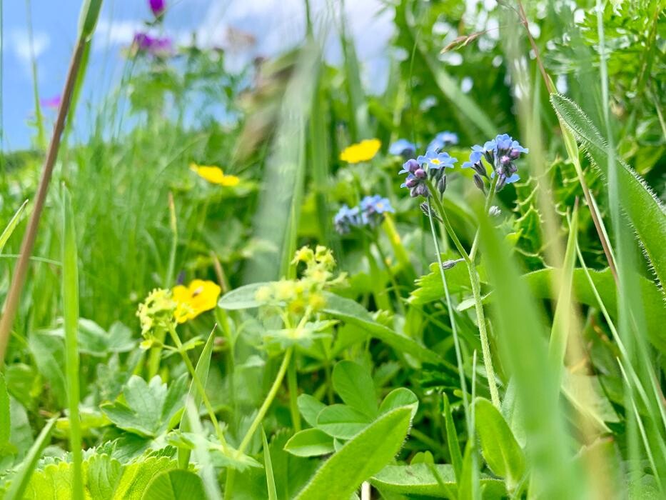 Bilder Marcel Leeb - Systemisches Coaching in freier Natur