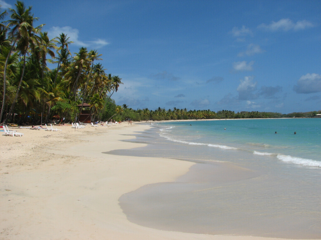 Bilder COCKTALIS Deutschland