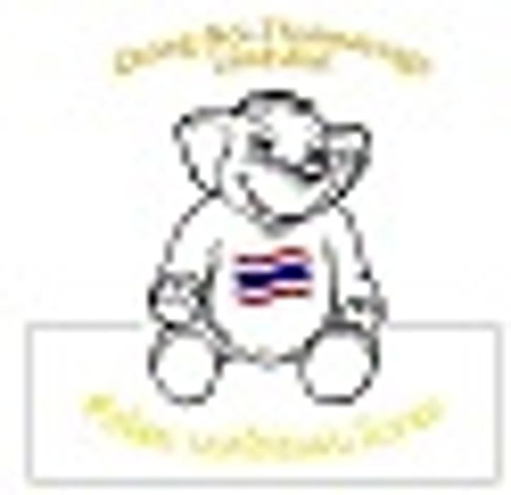 Chang Noi Thaimassage Logo