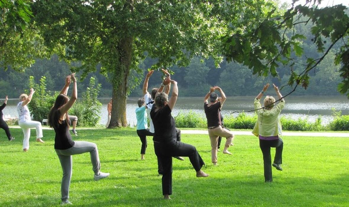 Bilder Qigong Studio Ellwangen Fotini P.
