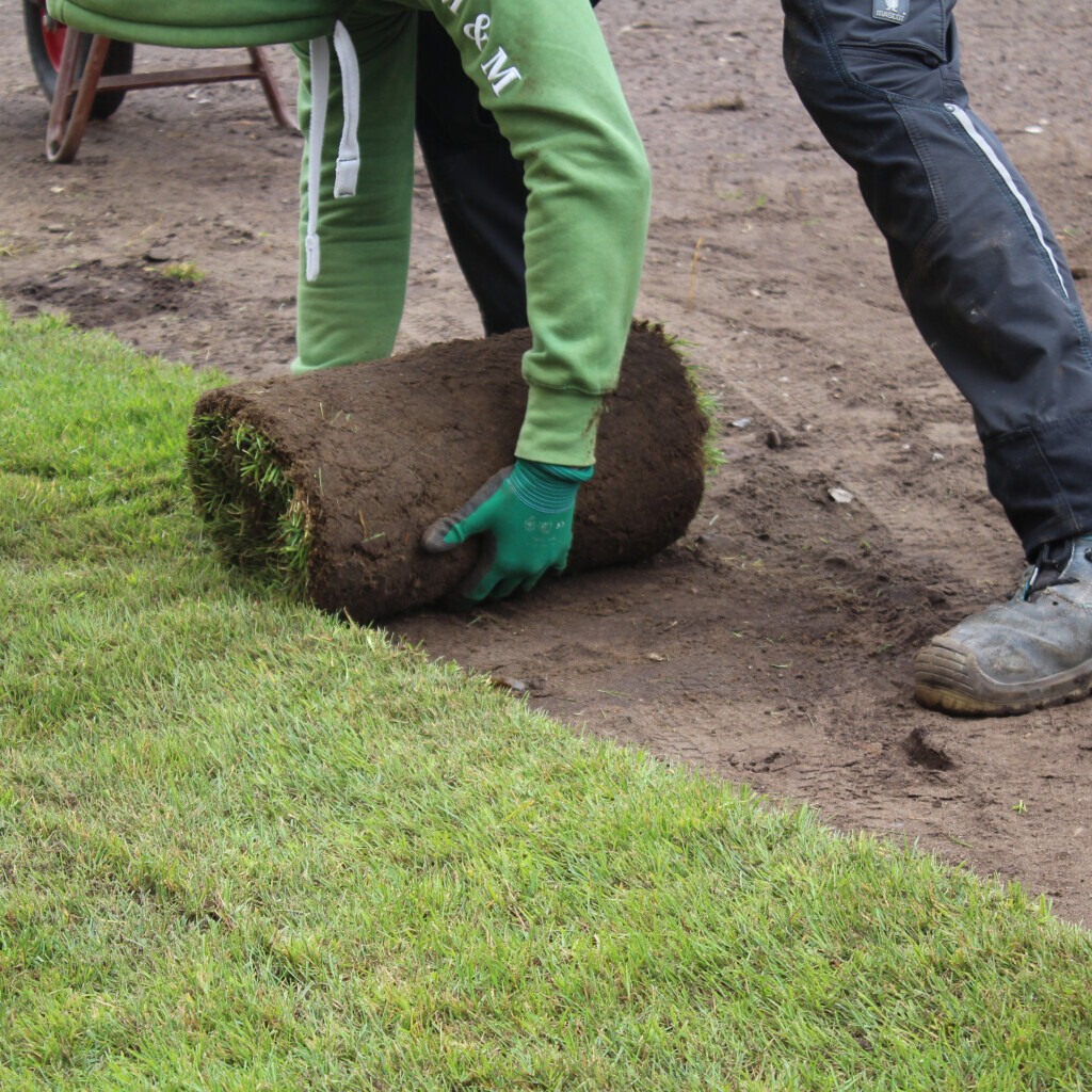 Bilder M & M Garten- und Landschaftsbau GmbH