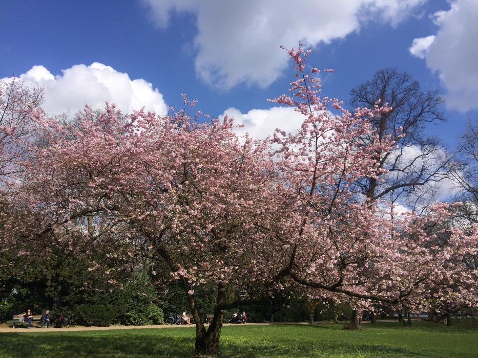 Bilder GBI Großhamburger Bestattungsinstitut rV