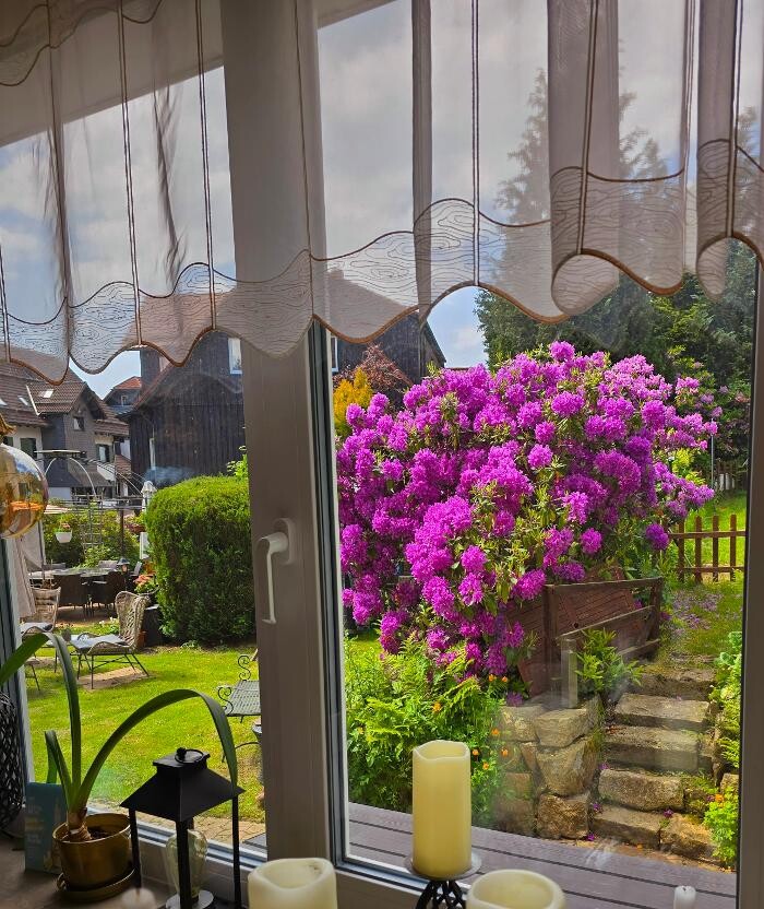 Bilder Hotel Elisabeth-Ilse