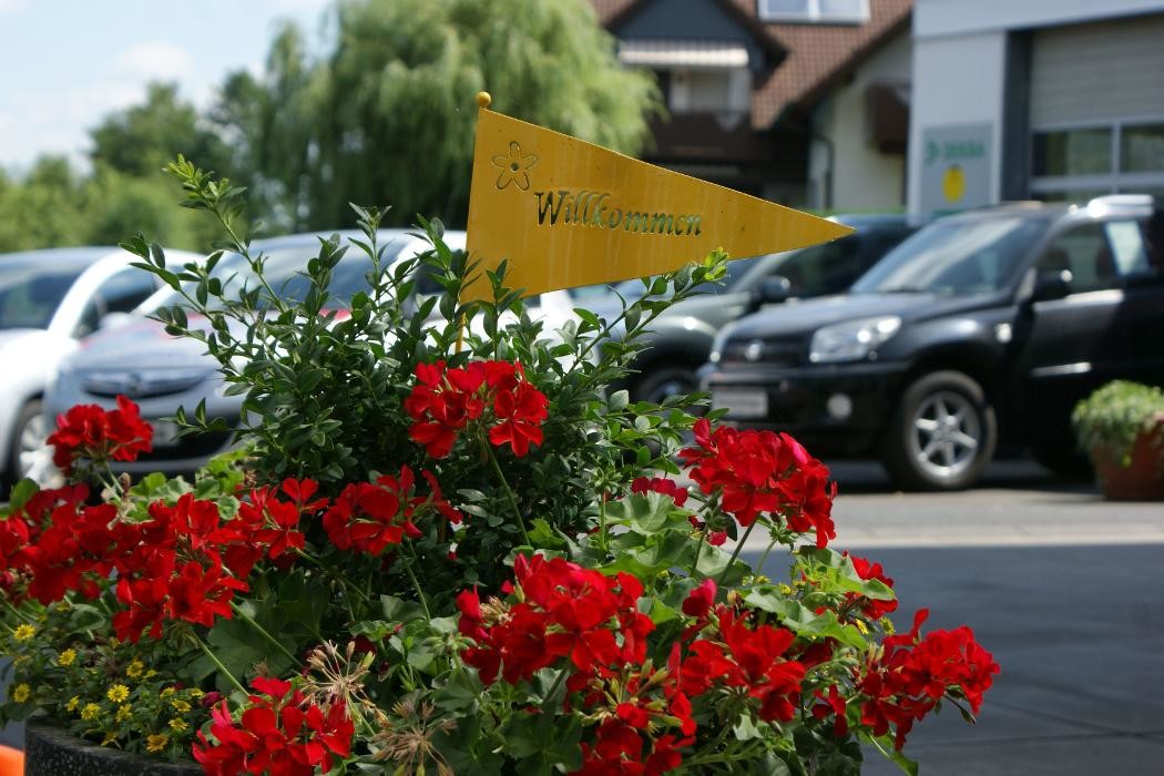 Bilder Auto Dienst Christoph Schäfer