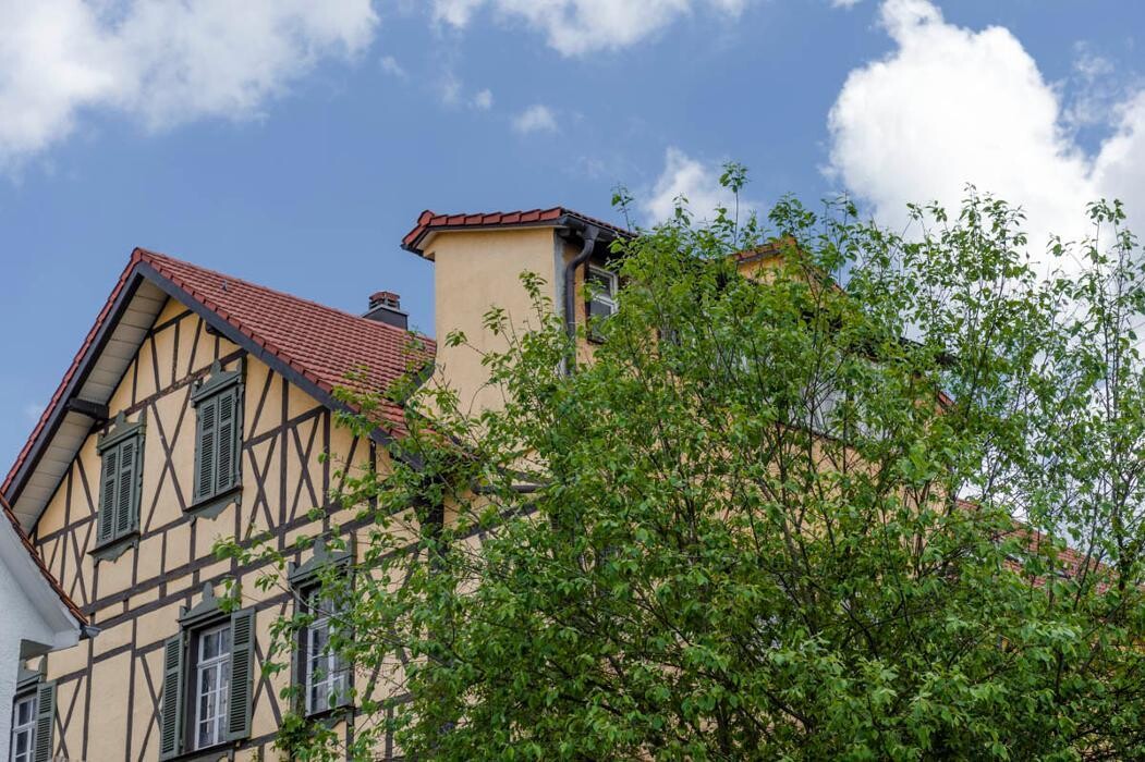 Bilder Wild Bedachungen GmbH