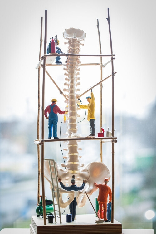 Bilder Naturheilkundepraxis MOSAIK Kerstin Dinse (Heilpraktiker)