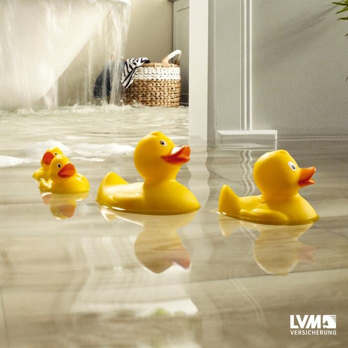 Bilder LVM Versicherung Lucia Steden - Versicherungsagentur