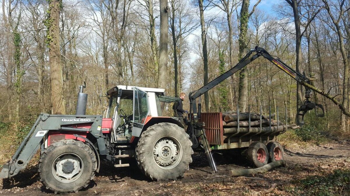 Bilder Baumdienst Schaefer & Fassbender GbR