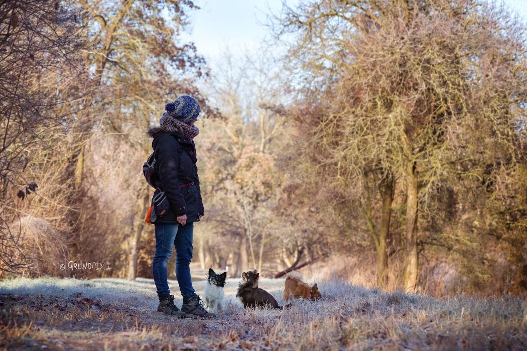 Bilder Hundeschule Gotha