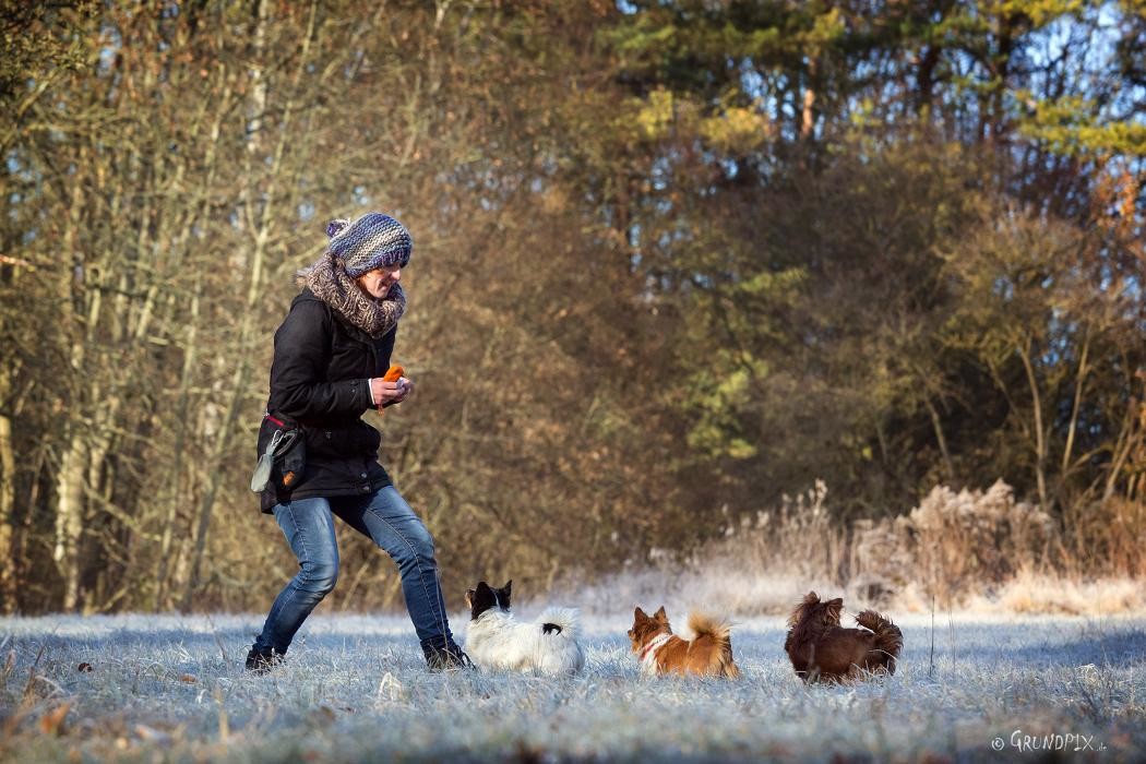 Bilder Hundeschule Gotha