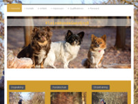 Hundeschule Gotha website screenshot