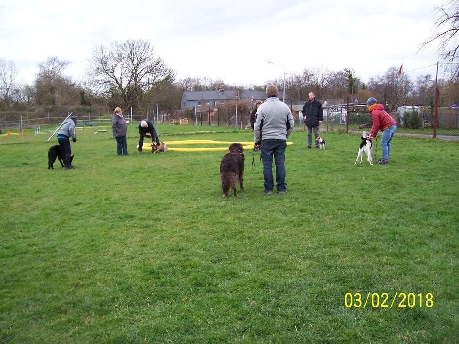 Bilder Hund-Mensch-TeamZentrum
